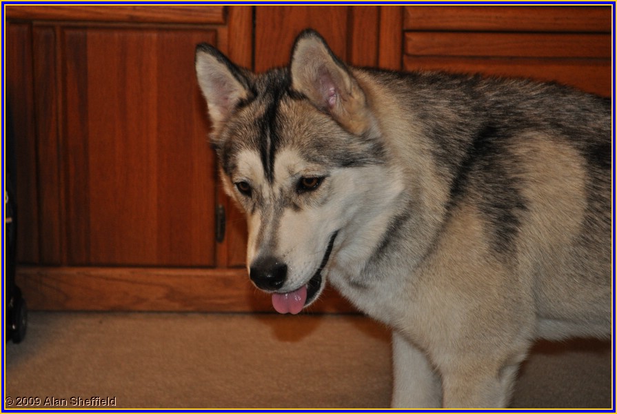 dsc_0146_01.JPG