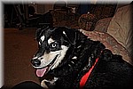 dsc_0127.JPG