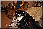 dsc_0130.JPG