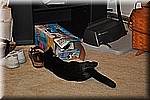 dsc_0136.JPG