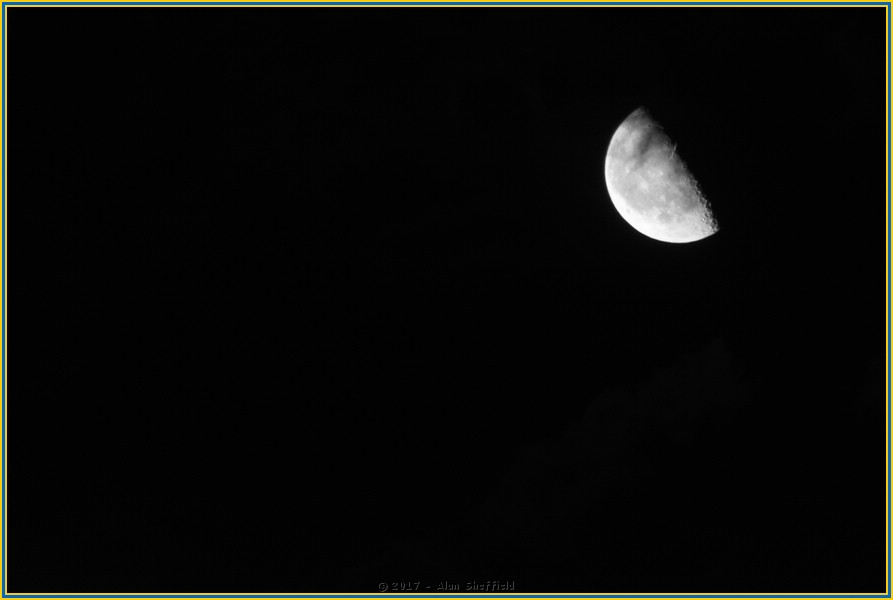 DSC_0171.jpg