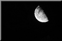DSC_0172.jpg