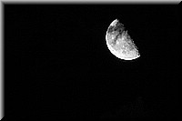 DSC_0173.jpg