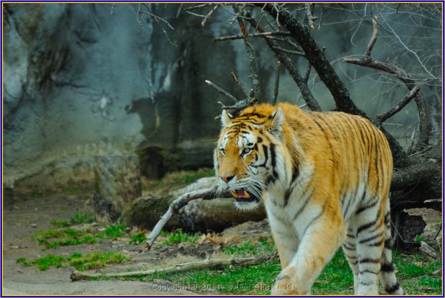 DSC_0747.JPG