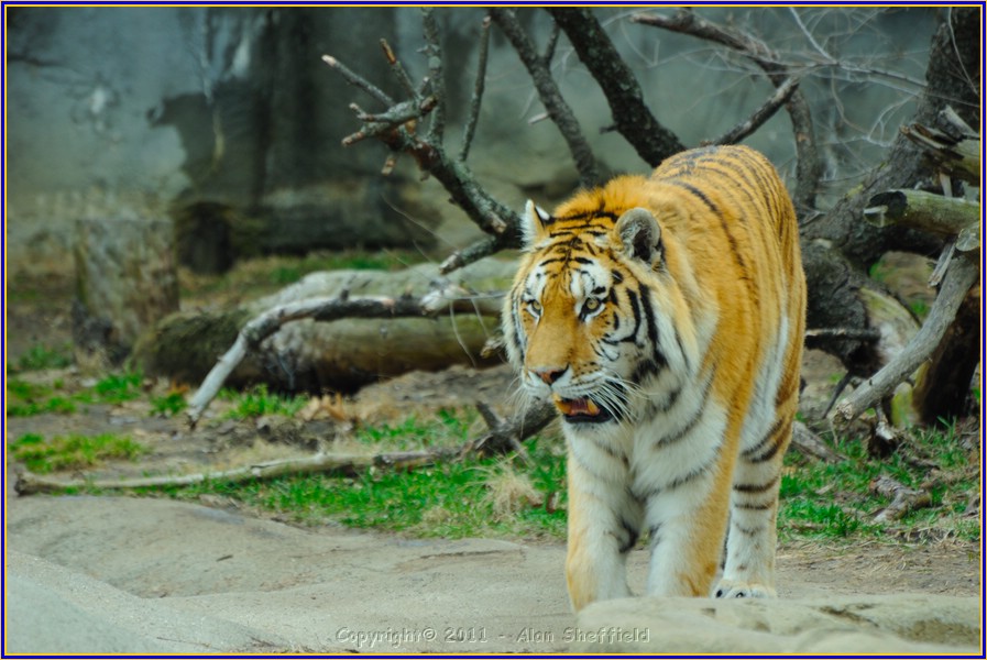 DSC_0751.JPG