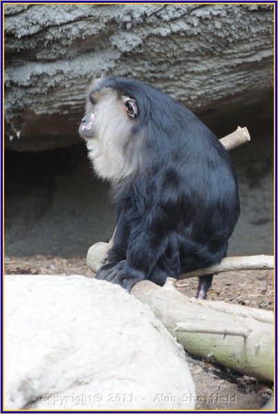 DSC_0753.JPG