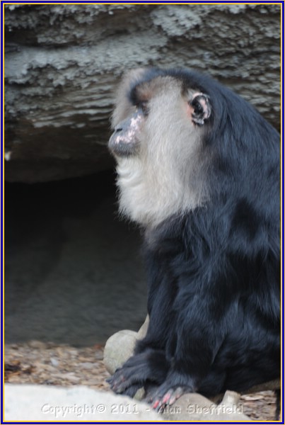 DSC_0755.JPG