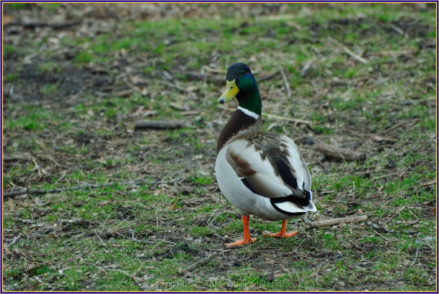 DSC_0757.JPG