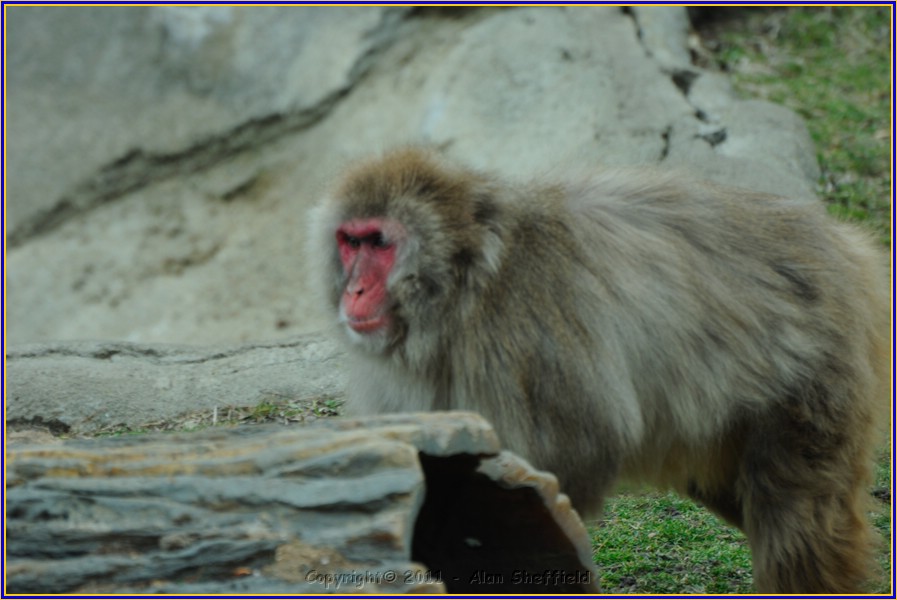 DSC_0758.JPG