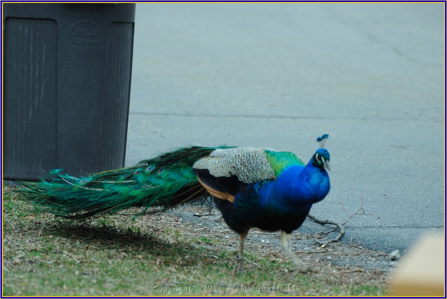 DSC_0764.JPG