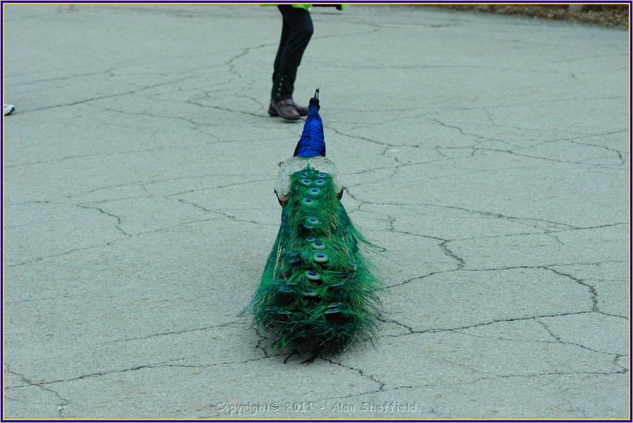 DSC_0766.JPG