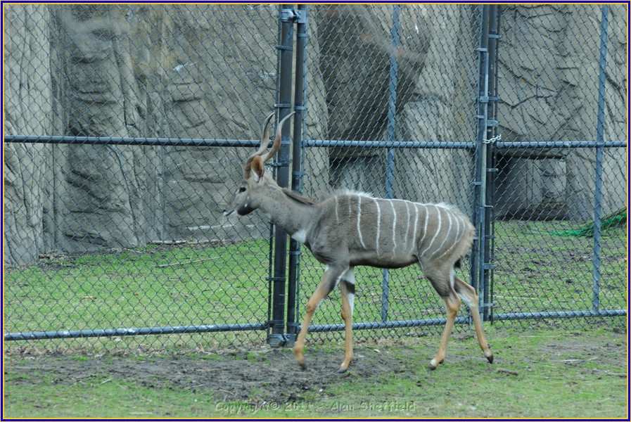 DSC_0774.JPG