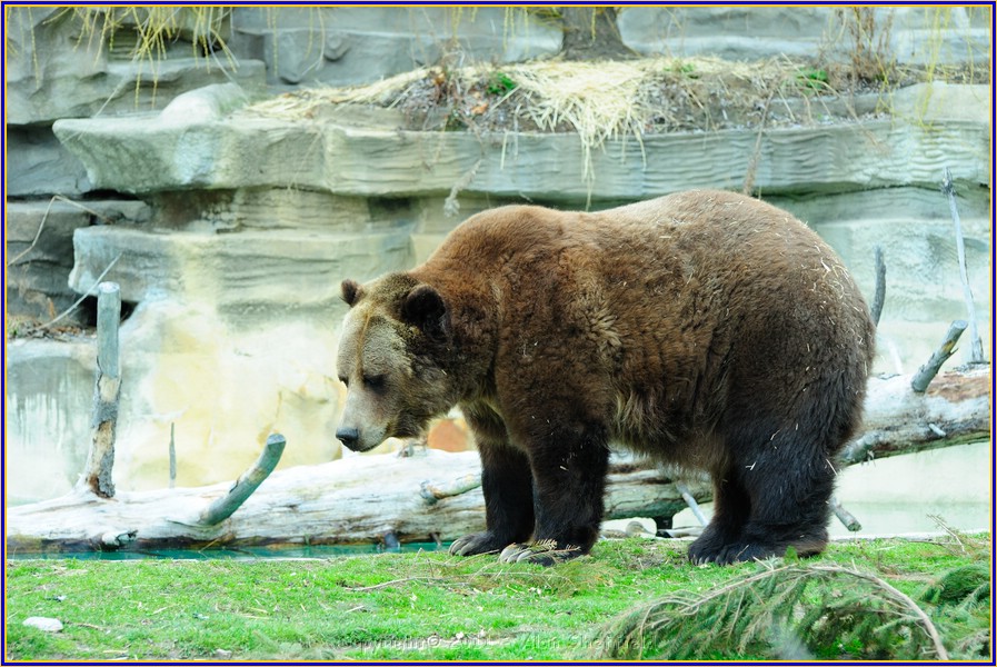 DSC_0780.JPG