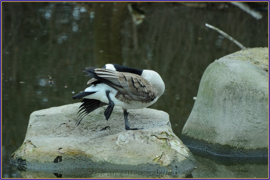 DSC_0782.JPG