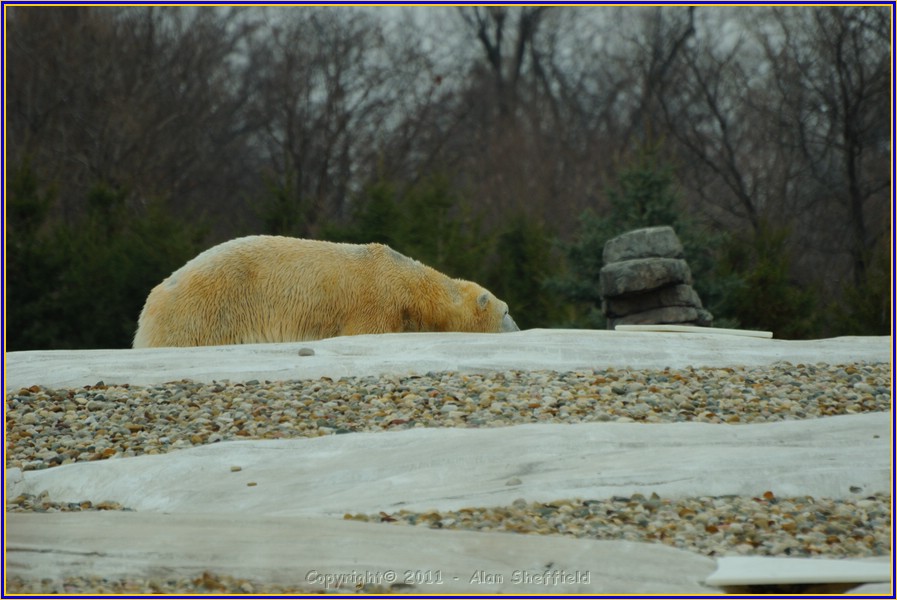 DSC_0784.JPG