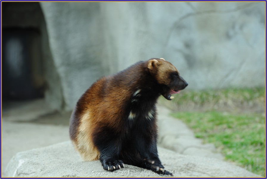 DSC_0787.JPG