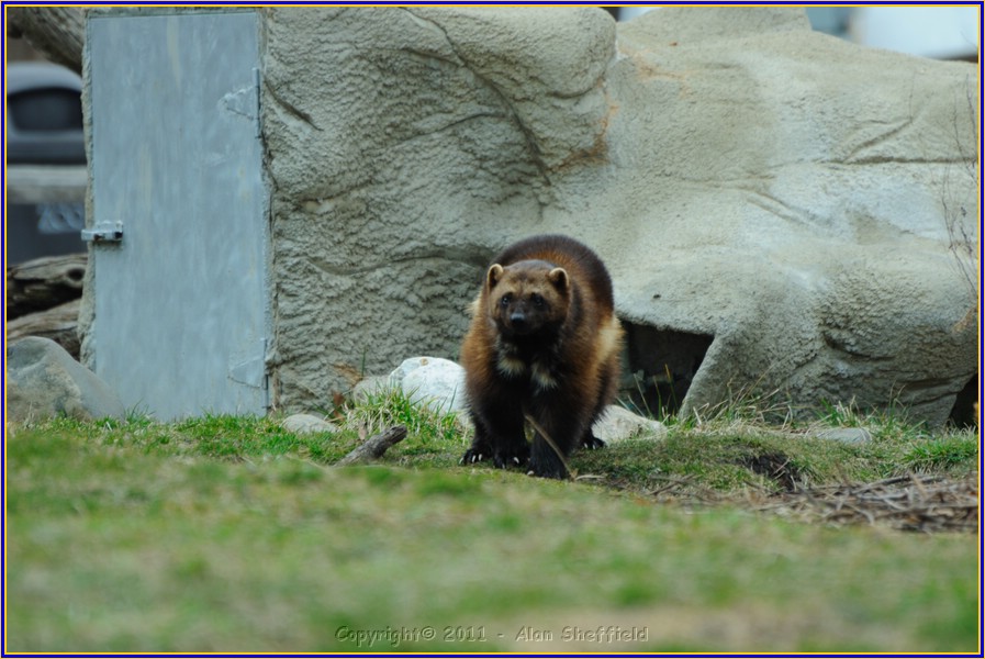 DSC_0788.JPG