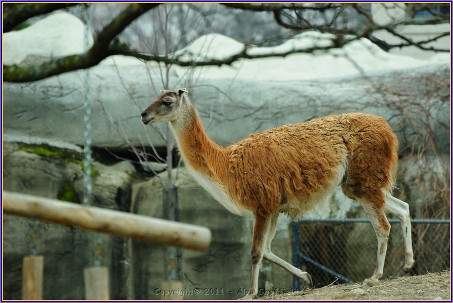 DSC_0793.JPG