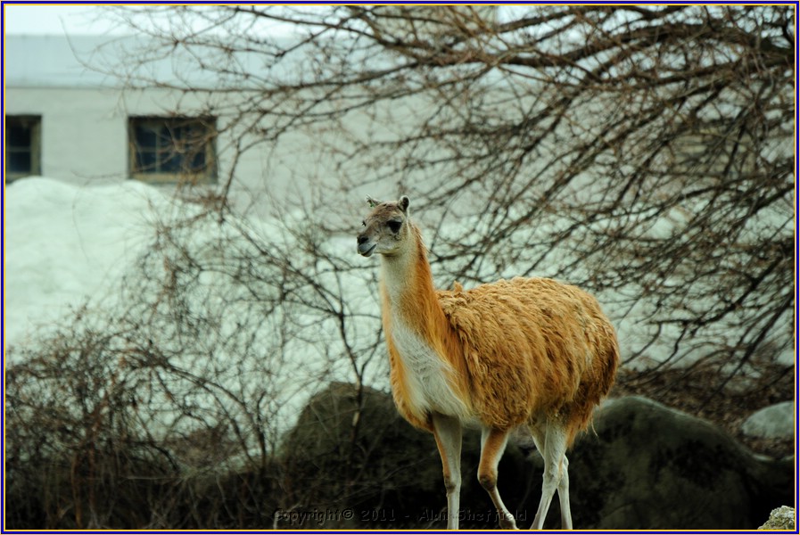 DSC_0794.JPG