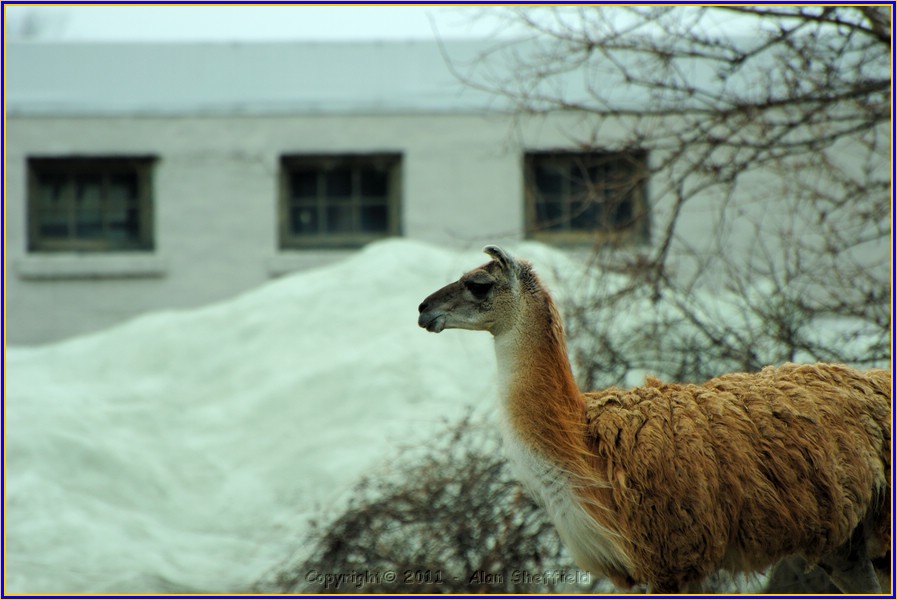 DSC_0795.JPG