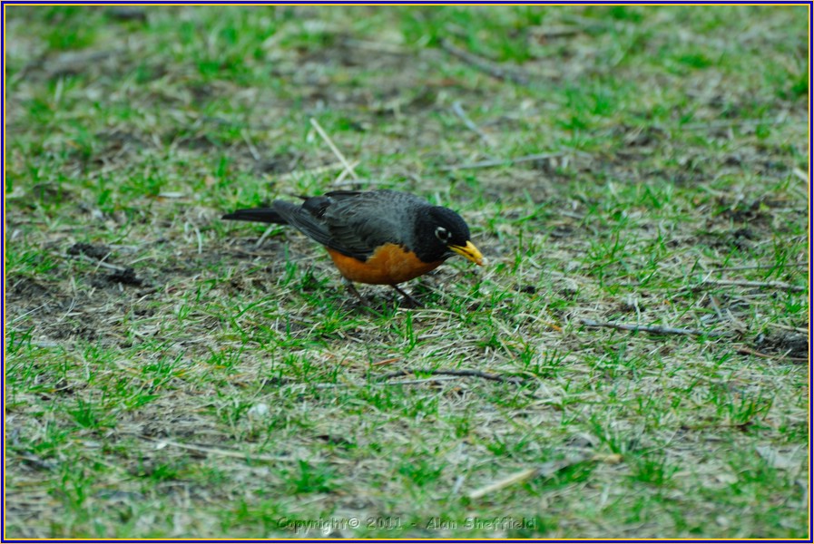 DSC_0796.JPG