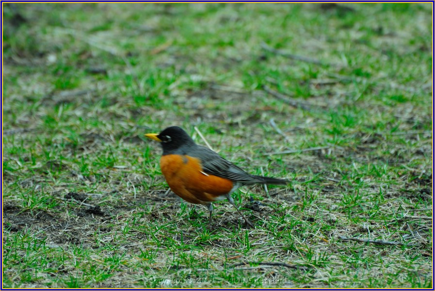 DSC_0798.JPG