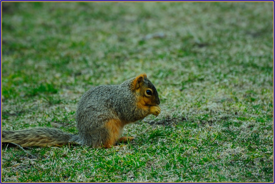 DSC_0799.JPG