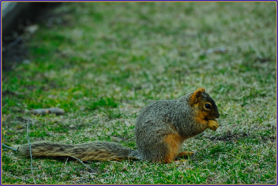 DSC_0800.JPG