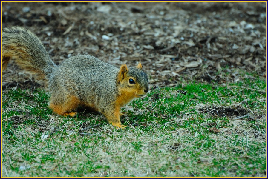 DSC_0801.JPG
