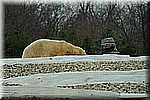 DSC_0784.JPG