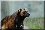 DSC_0785.JPG