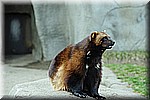 DSC_0786.JPG