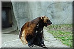 DSC_0787.JPG
