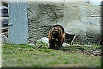 DSC_0788.JPG