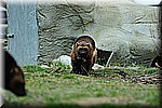 DSC_0789.JPG