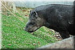 DSC_0791.JPG