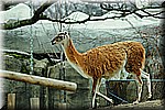 DSC_0793.JPG