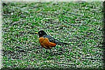 DSC_0798.JPG