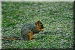 DSC_0799.JPG