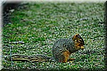 DSC_0800.JPG