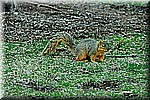 DSC_0802.JPG