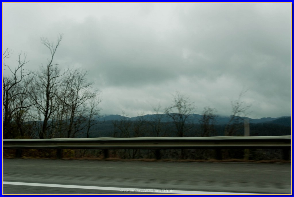 DSC_3021.jpg