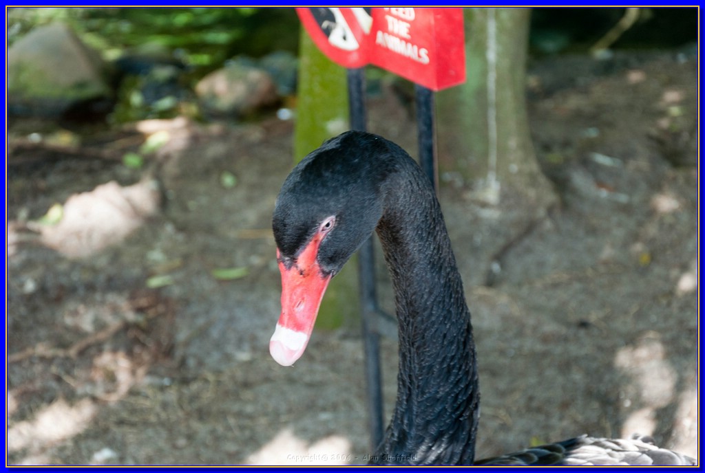 DSC_3032.jpg