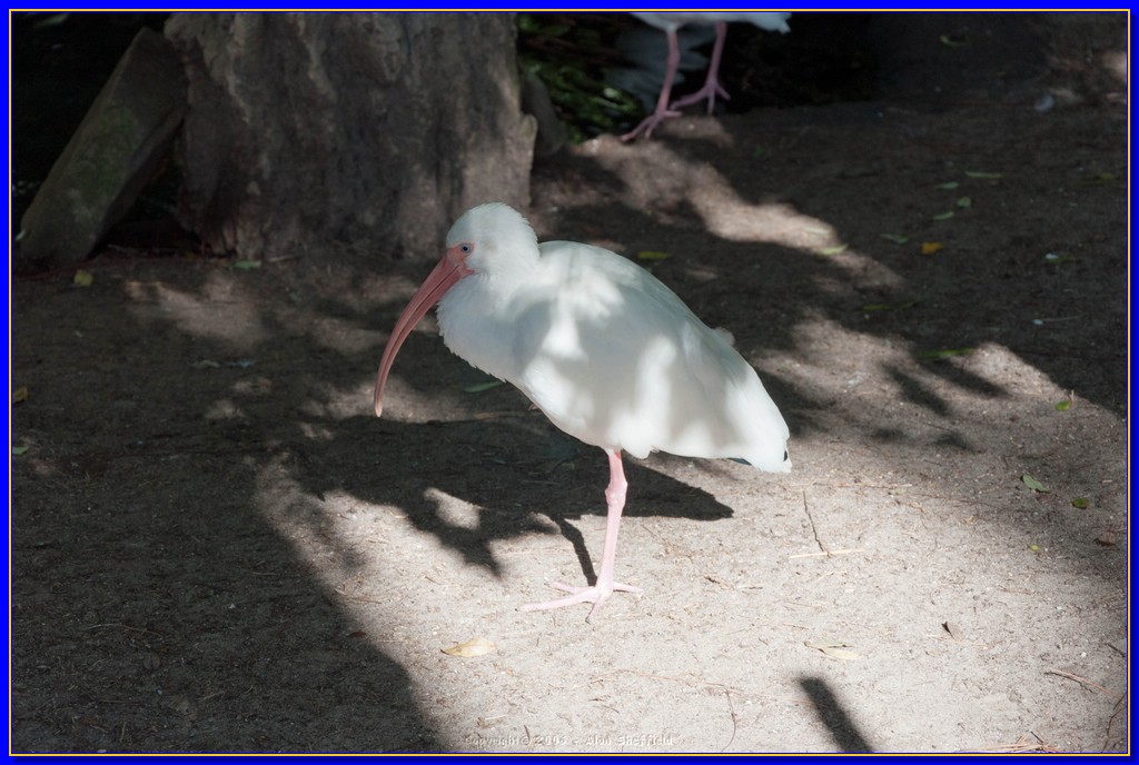 DSC_3033.jpg