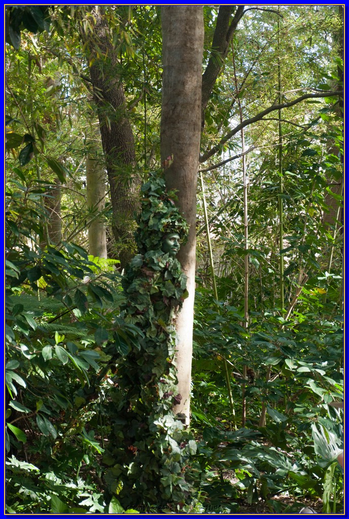 DSC_3037.jpg