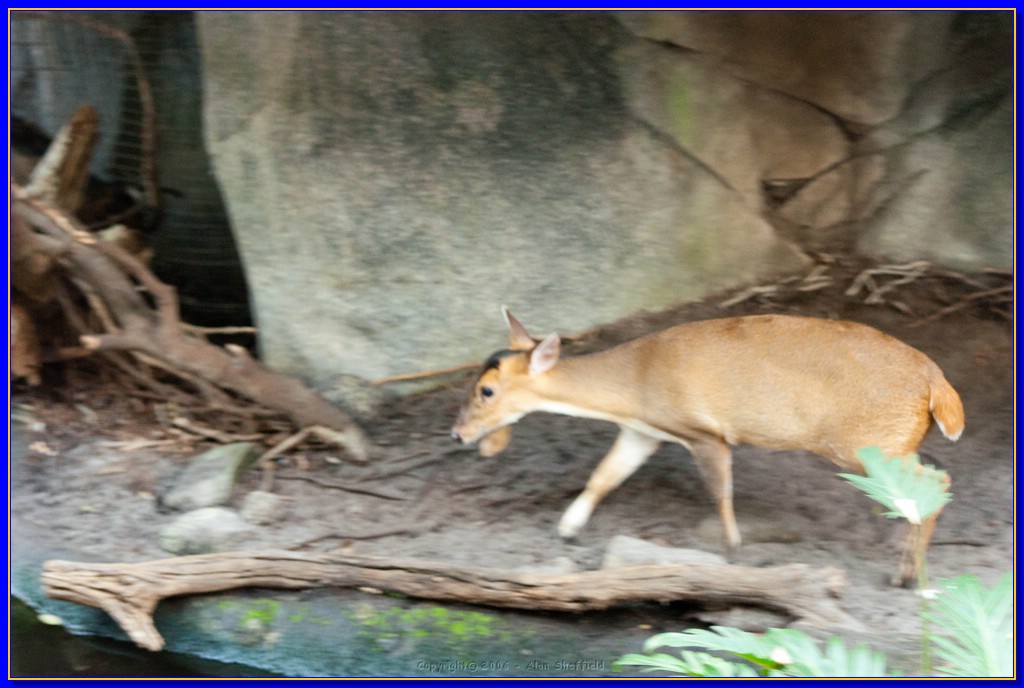 DSC_3043.jpg