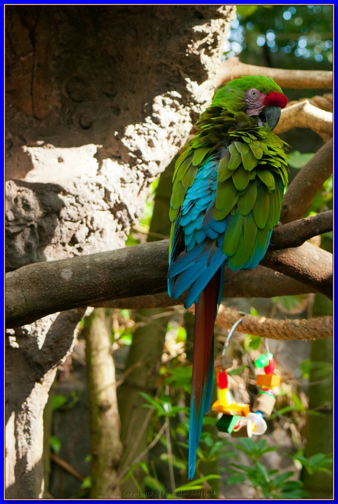 DSC_3047.jpg
