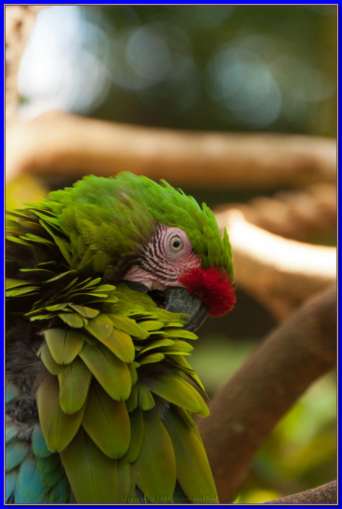 DSC_3048.jpg