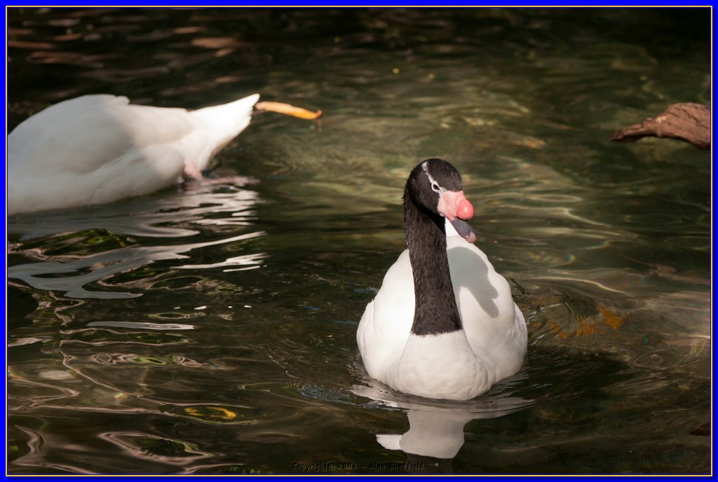 DSC_3051.jpg