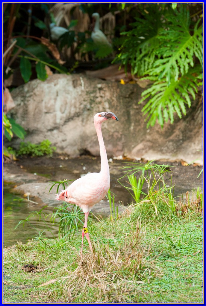 DSC_3063.jpg